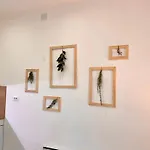 Apartment Storia Parentina Center