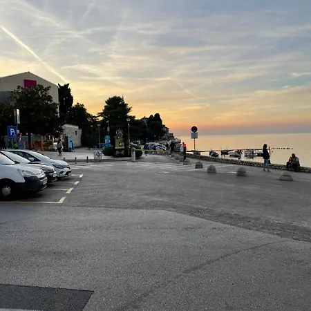 Storia Parentina Center